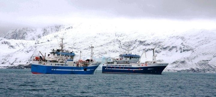 Monitoring Seabird Conservation in the South Georgia Patagonian Toothfish Fishery