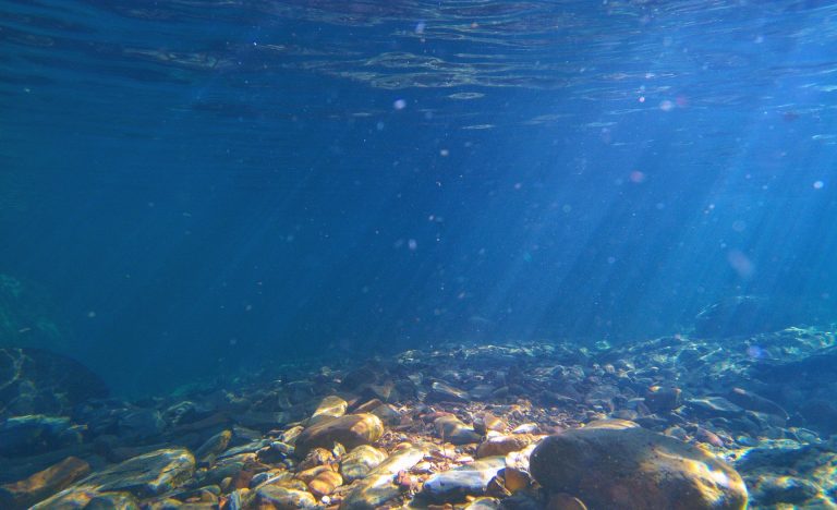 Sunlight beams through clear freshwater over a rocky riverbed habitat used in fisheries monitoring.