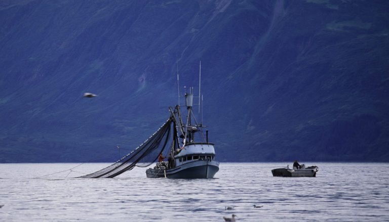 Commercial fishing vessel hauling a seine net on calm coastal waters below forested mountains.