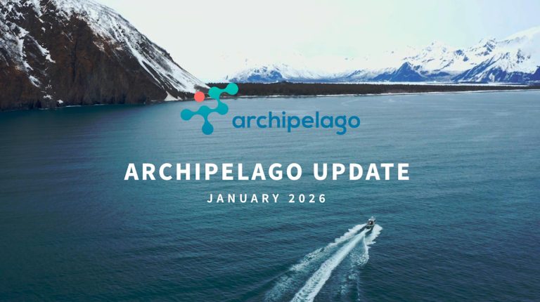 Archipelago Video Update – January 2026